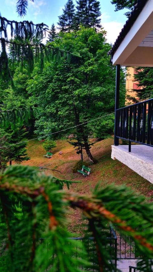 Bujtina Te Grima Hotel Theth Ngoại thất bức ảnh